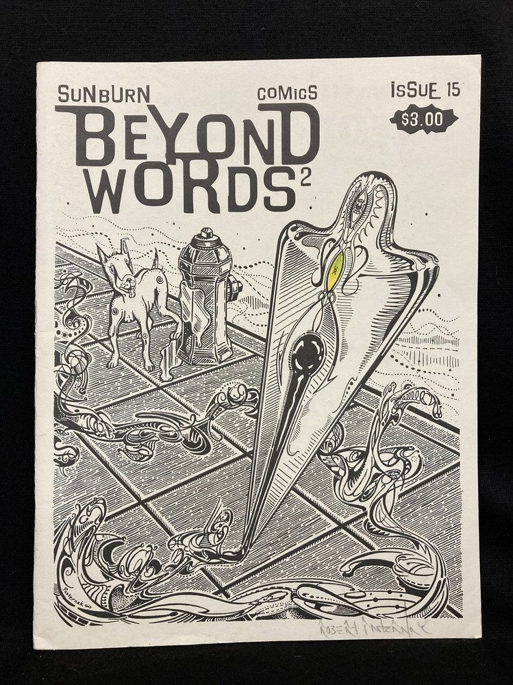 Sunburn #15 BEYOND WORDS 2 underground wordless comics 2001 Canadian