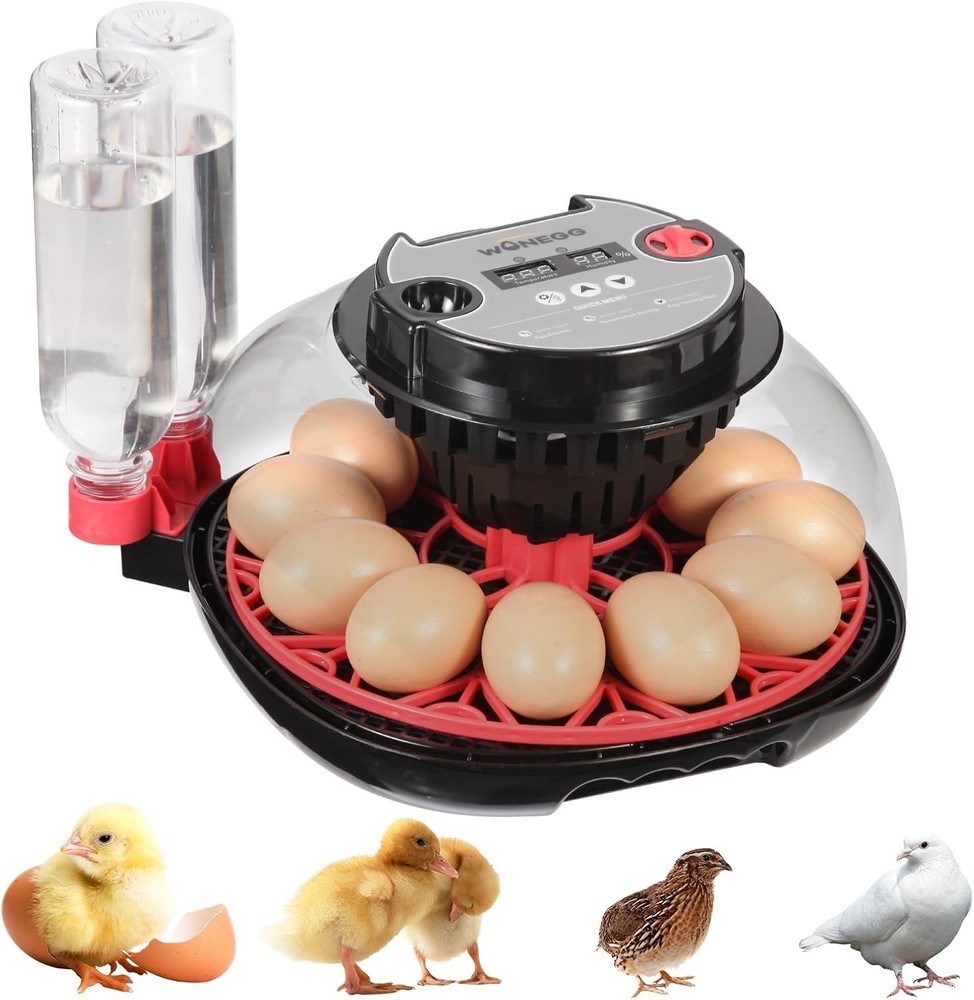 User-Friendly 12 Egg Incubator for Chicken, Duck & Pigeon - Control Humidity