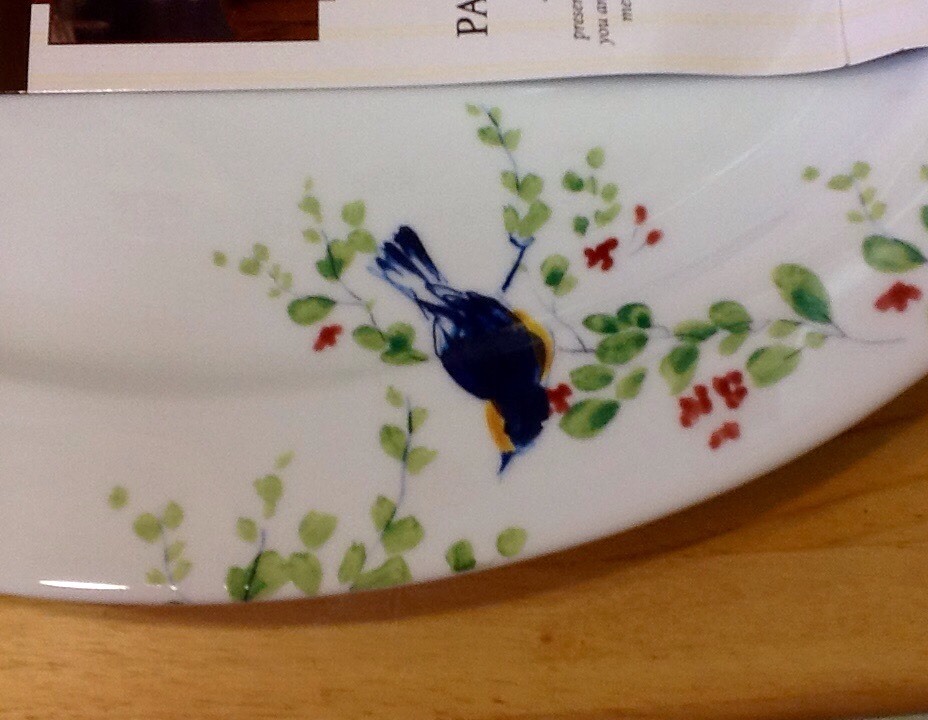 NEW Paula Deen SPRING MEDLEY Pattern 14" Oval Serving Platter Birds Flowers