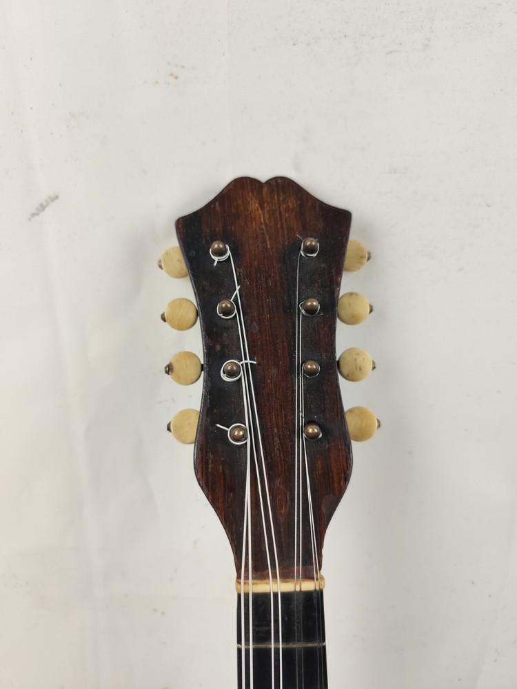 Mandolin 4/4 Strident 1930 Naples 曼陀林 만돌린マンドリン