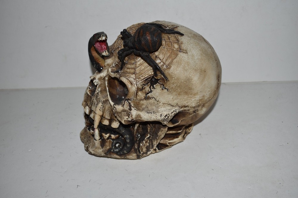 HALLOWEEN SKELETON HEAD WITH SPIDER, SNAKE, BONE - SPOOKY HALLOWEEN PROP (MSL28)
