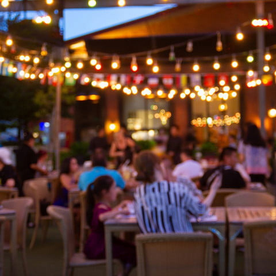 Indoor/Outdoor10' 5 Socket String Light Strand Medium Base Bulbs Sold