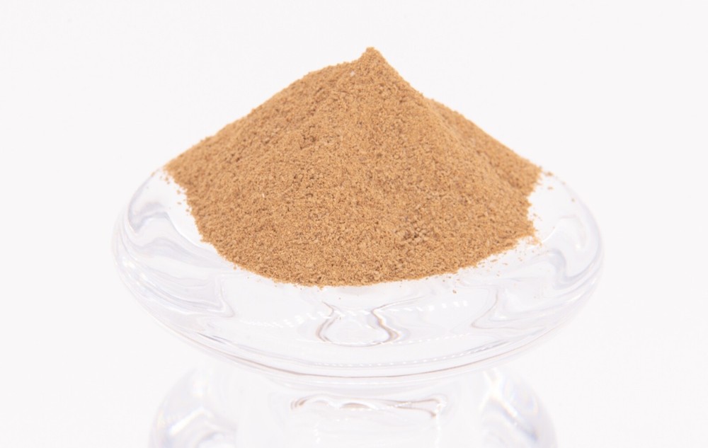 Triceratops Bone - 100% Pure & Natural