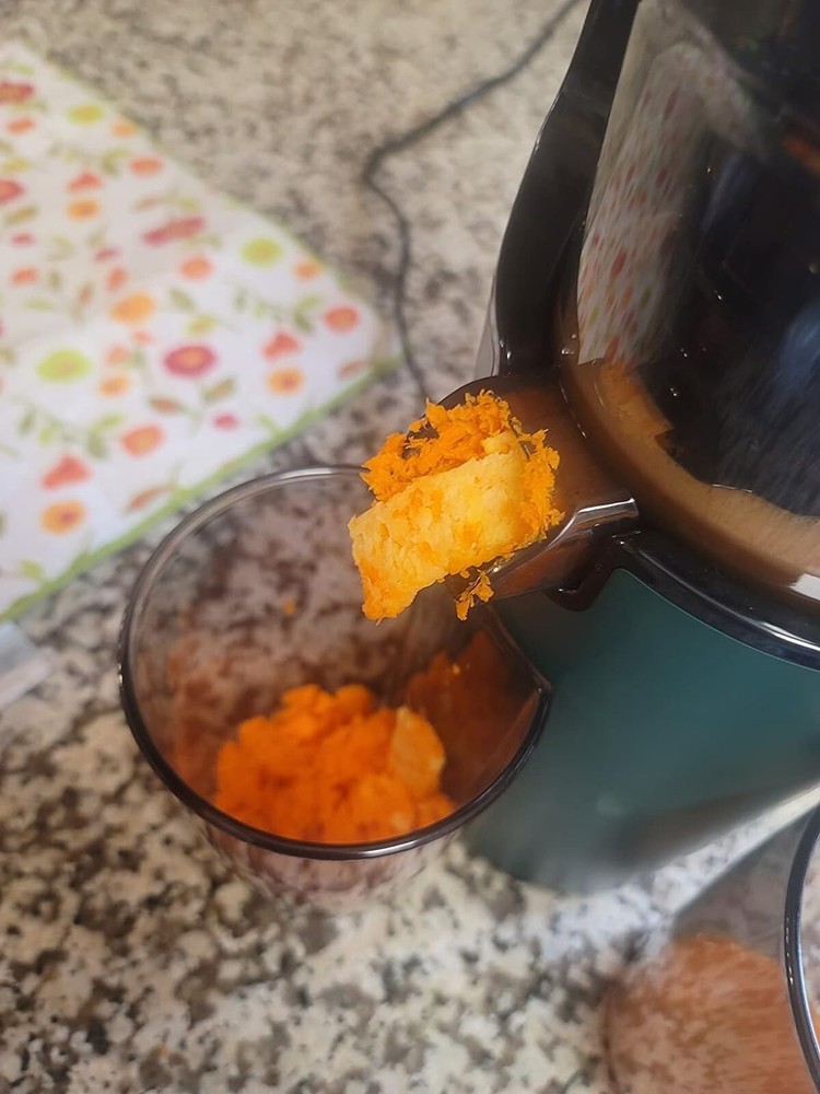 Slow Juicer Machine Masticating Cold Press Juicers Squeezer Vegetable Processor