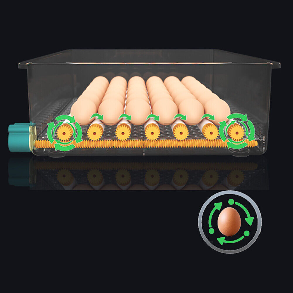 16 Eggs Incubator Digital Hatcher Temperature Control Fully Automatic Turning US