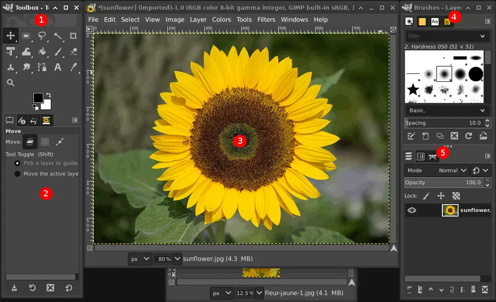 NEW PRO Photo Graphic Design Digital Image Editing Software | GIMP w/ Guide USB