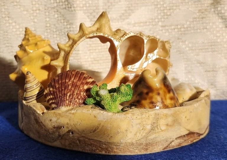 Vintage Seashell Souvenir Sea Shellcraft Arts