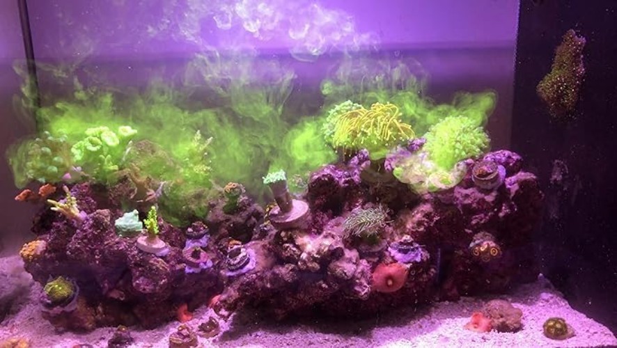 Complete Nutrition for Soft, LPS, SPS Corals