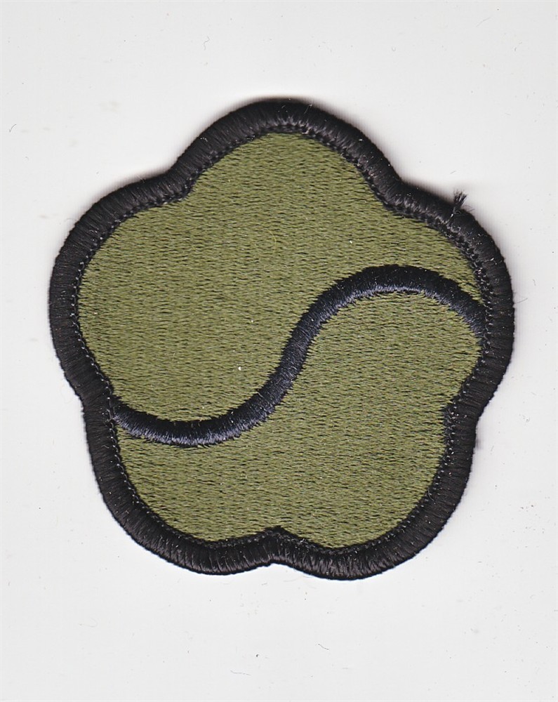 Army Patch: 19th Support Brigade - subdued, merrowed edge