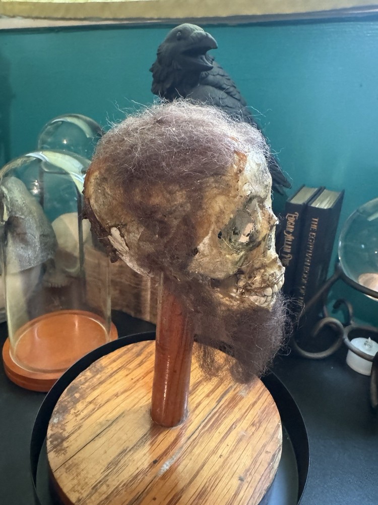 Mummified Leprechaun Skull