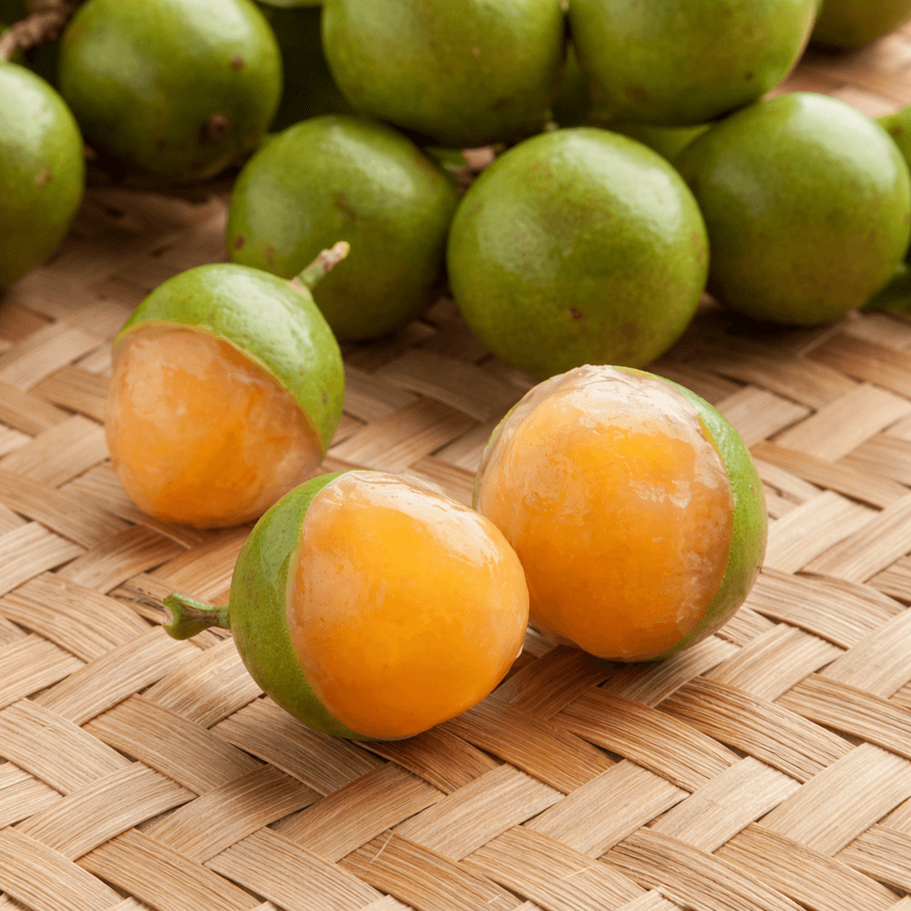 Spanish Lime Tree (Melicoccus bijugatus) – Live Tropical Fruit Tree