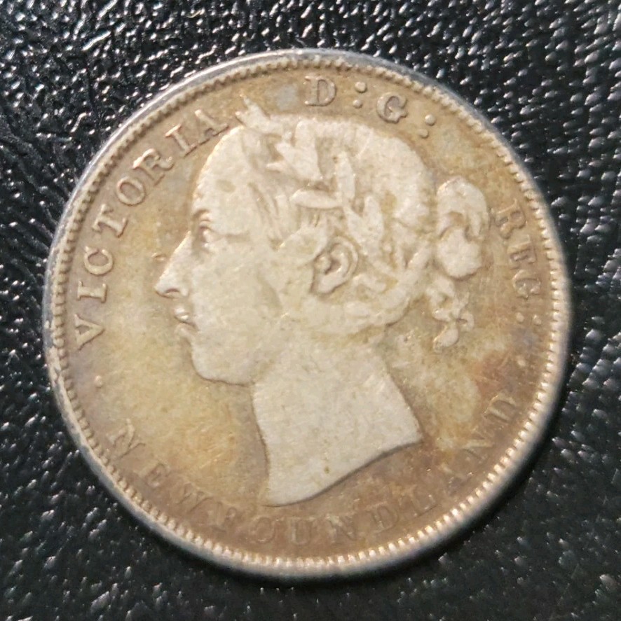 1899 newfoundland 20 cents
