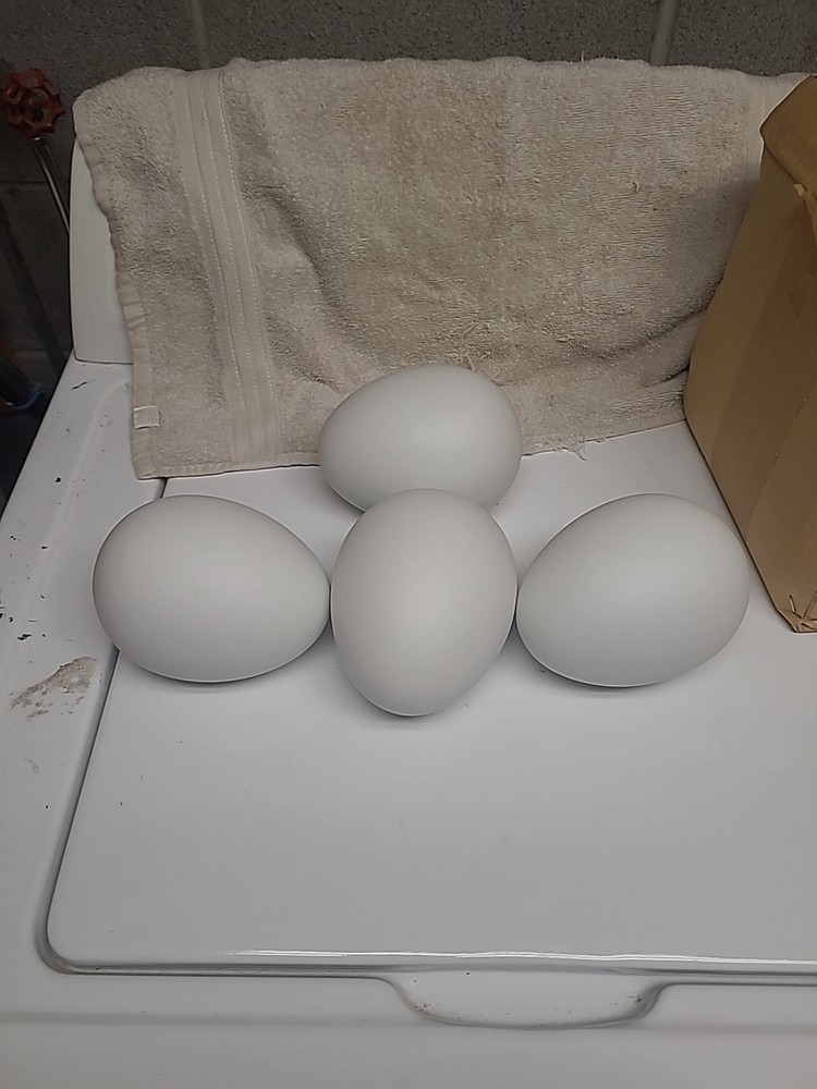 4 Ceramic Eggs Ready To Be Painted