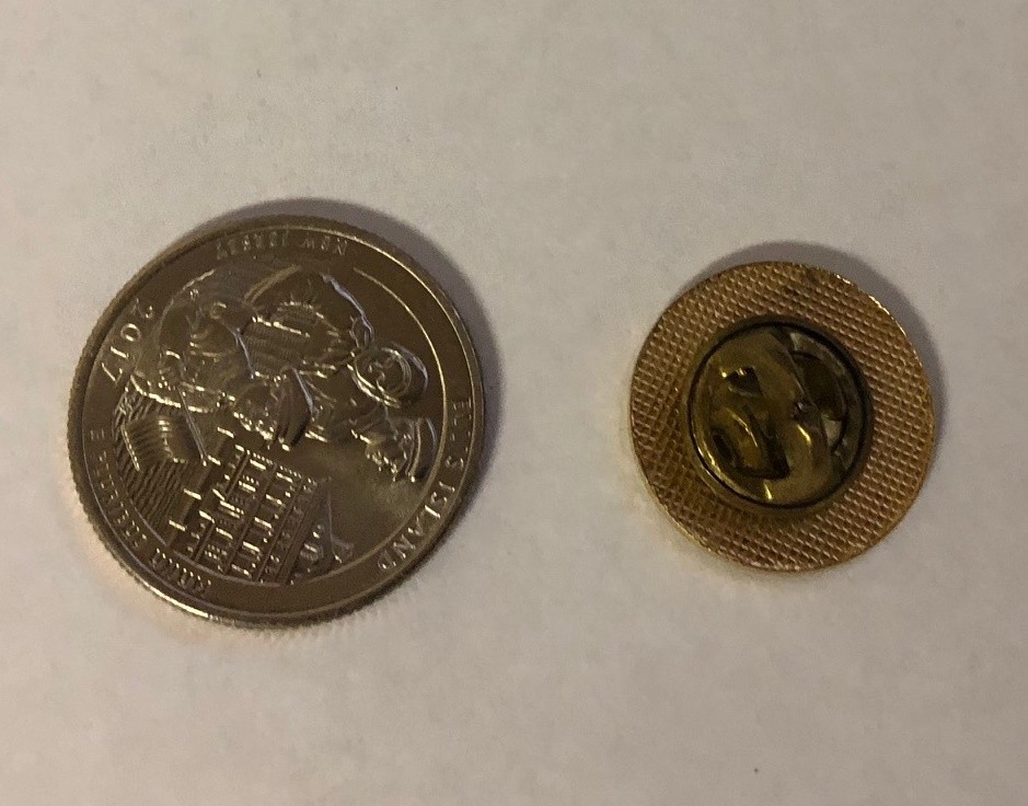 I Brought Up Grades Pin