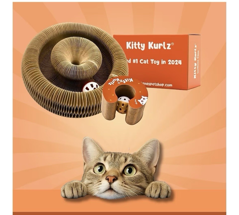 Kitty Kurlz Shape-Shifting Fun Cat Toy Interactive Cardboard with Ball Marlene's