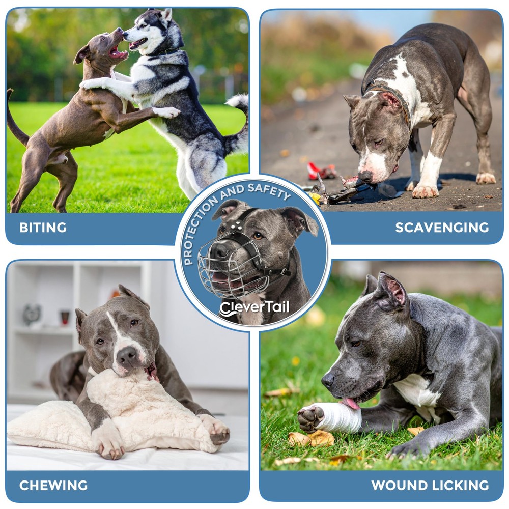 CleverTail Metal Pitbull Muzzle for Large Large, Silver Wire & Black Straps