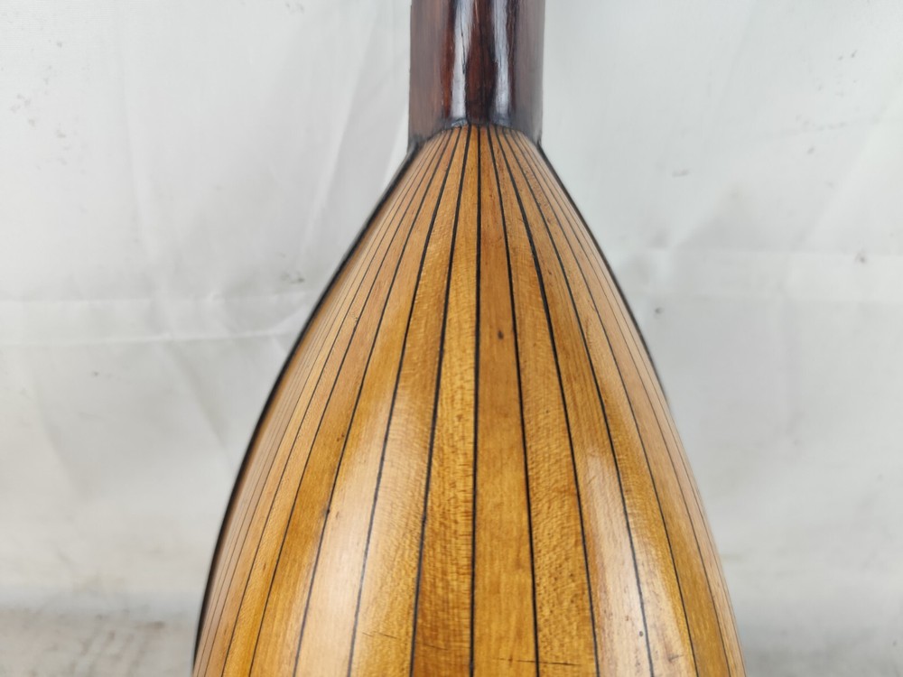 Mandolin 4/4 Renacchi 1900 Naples 曼陀林 만돌린マンドリン