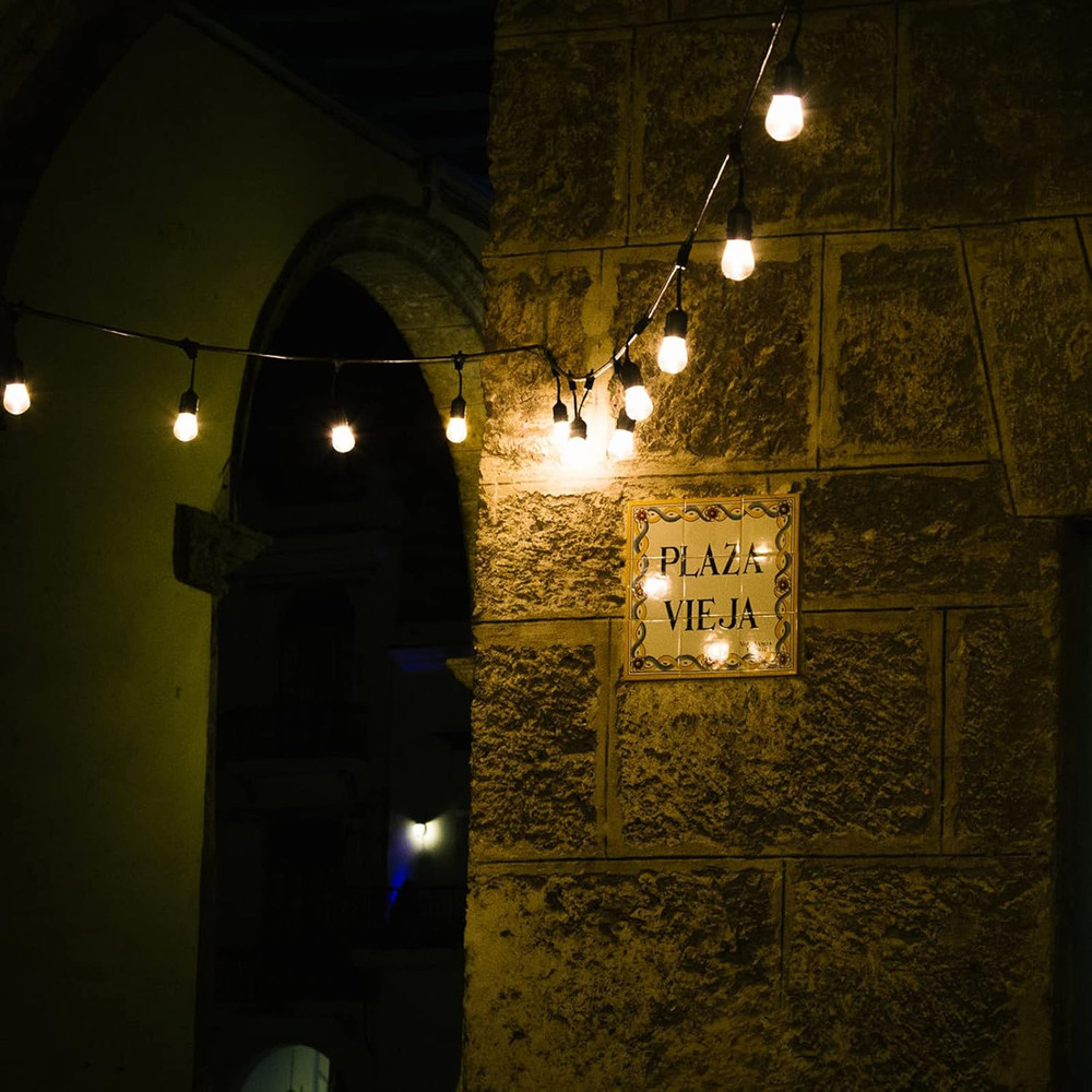 S14 Replacement Light Bulbs for String Lights, 11 Watt E26 Medium Standard Base,