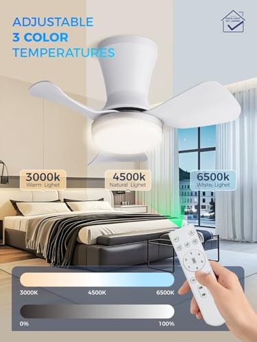 Ceiling Fans with Lights, App&Remote Control, Low Profile 22 Inch Silver White