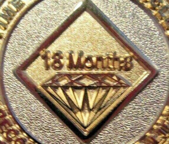 Narcotics Anonymous NA GOLD SILVER 18 MONTH Medallion Chip Coin Token