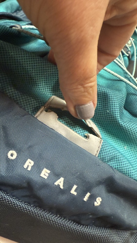 Northface Backpack Hiker, day pack, weekender, doubles as a purse