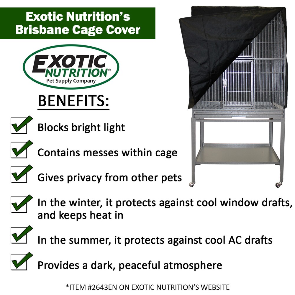 Congo Cage & Starter Package for Sugar Gliders