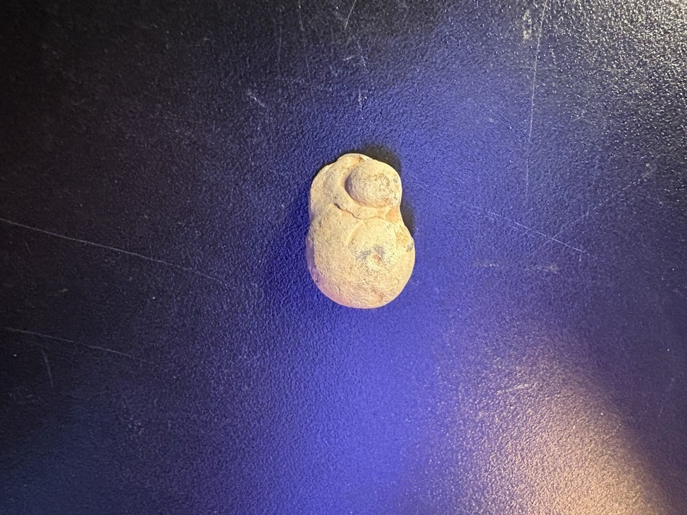 Dug Civil War Relic