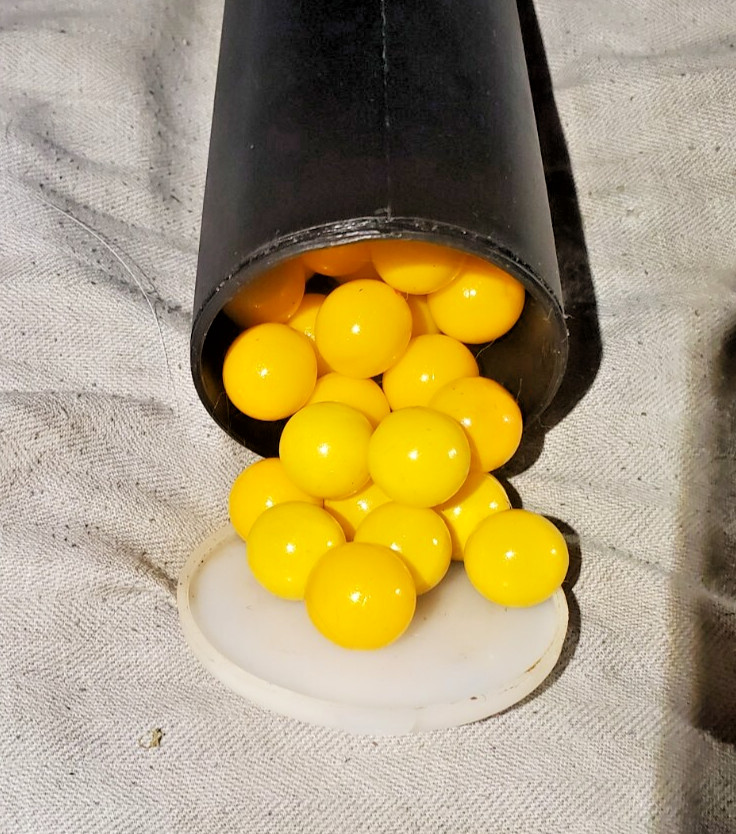 Paintball Pod with Paintballs