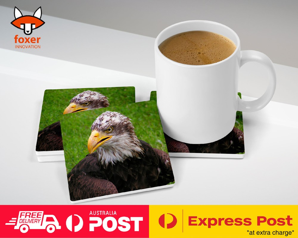 COASTER COFFEE DRINKING MAT|COOL BROWN HAWK EAGLE BIRD #7