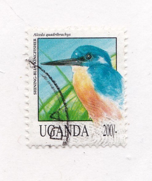 Uganda       1069          used