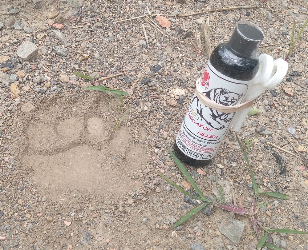PREDATOR KILLER Bear Attractant