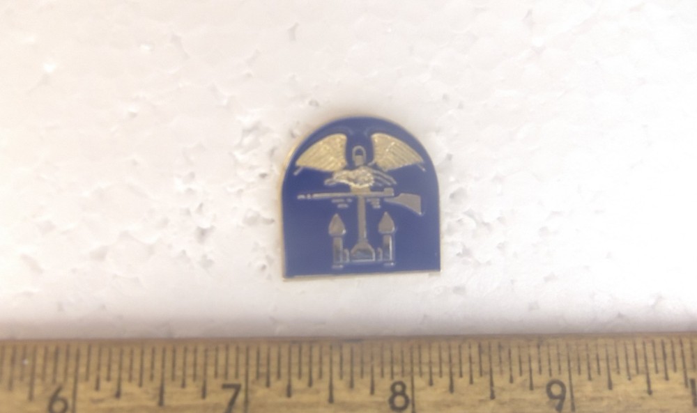 US Army - Amphibious Pin