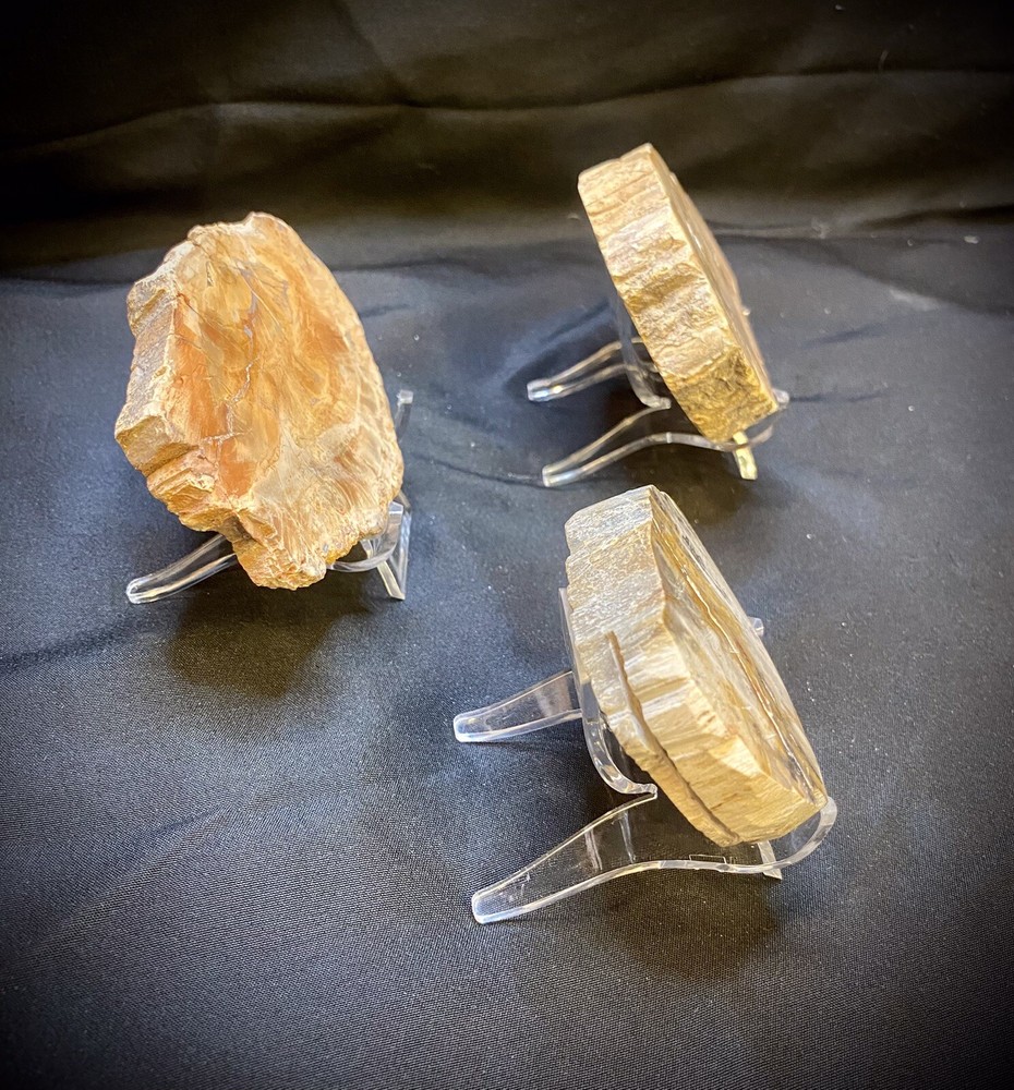 Three Piece Petrified Wood Trio