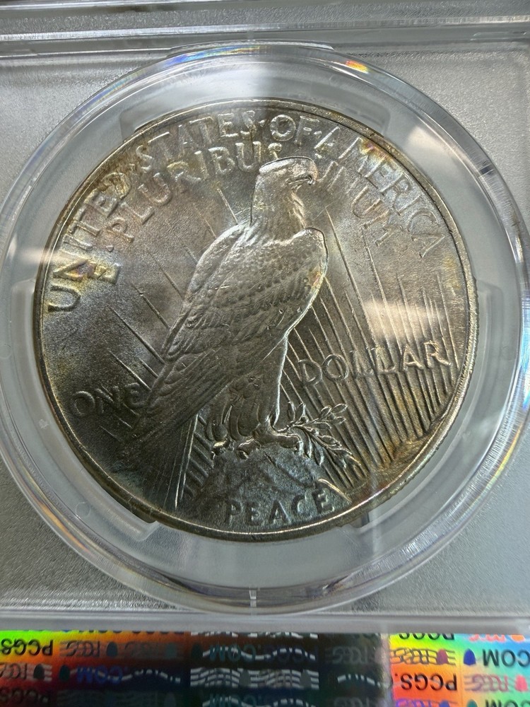 1925 Silver Peace 1 Dollar PCGS Questionable color Unc Detail