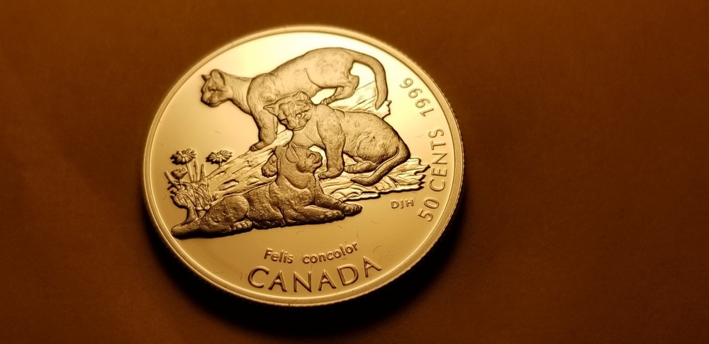 Canada 1996 50 Cent Gem Proof Silver Coin Cougar Cubs Idrs1