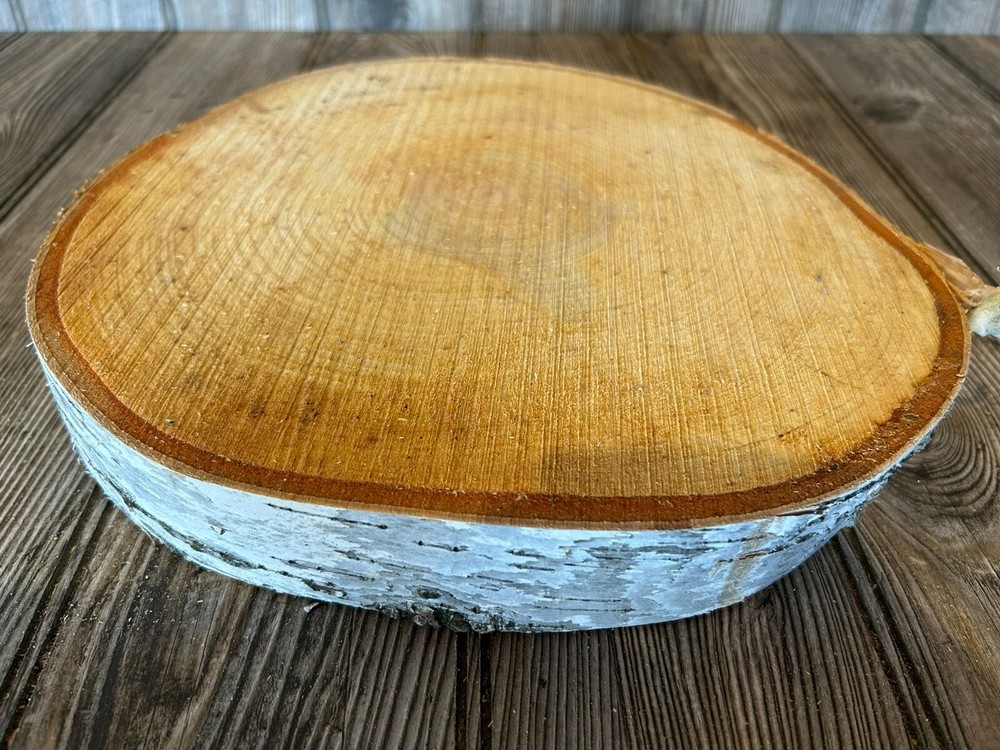 White Birch Slice Approximately 10 Inches Diameter