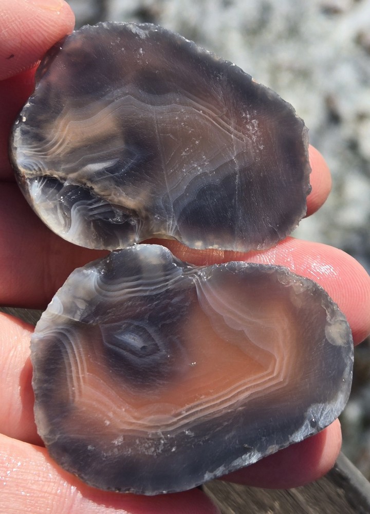 Botswana Agate Cut In Half - Rough, Natural, Not Polished