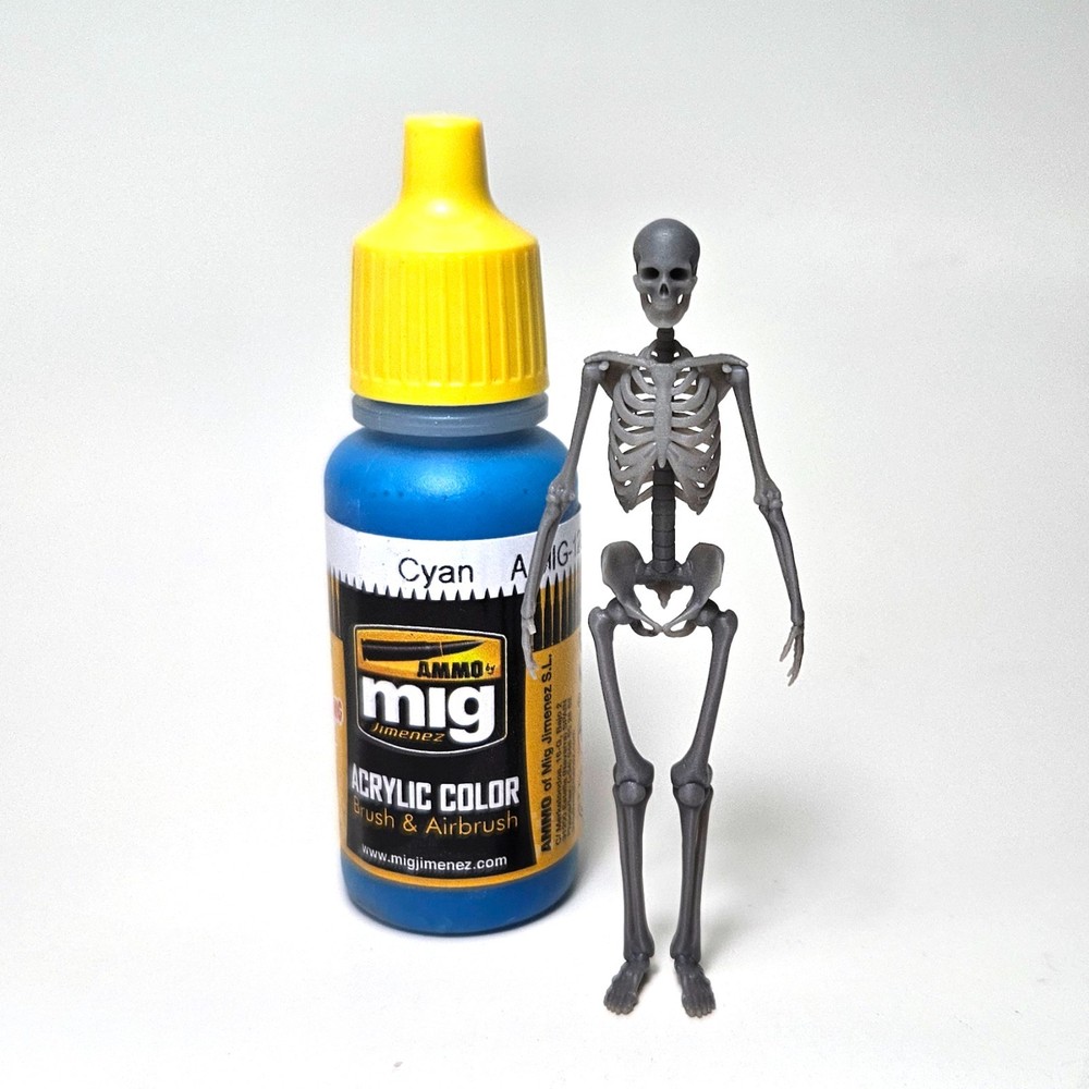 Skeletons 1/24 - 1/25 Scale (2 Pack)