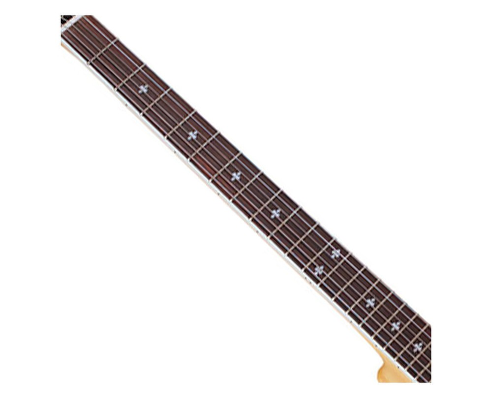 Gold Tone Professional 6-String Banjitar