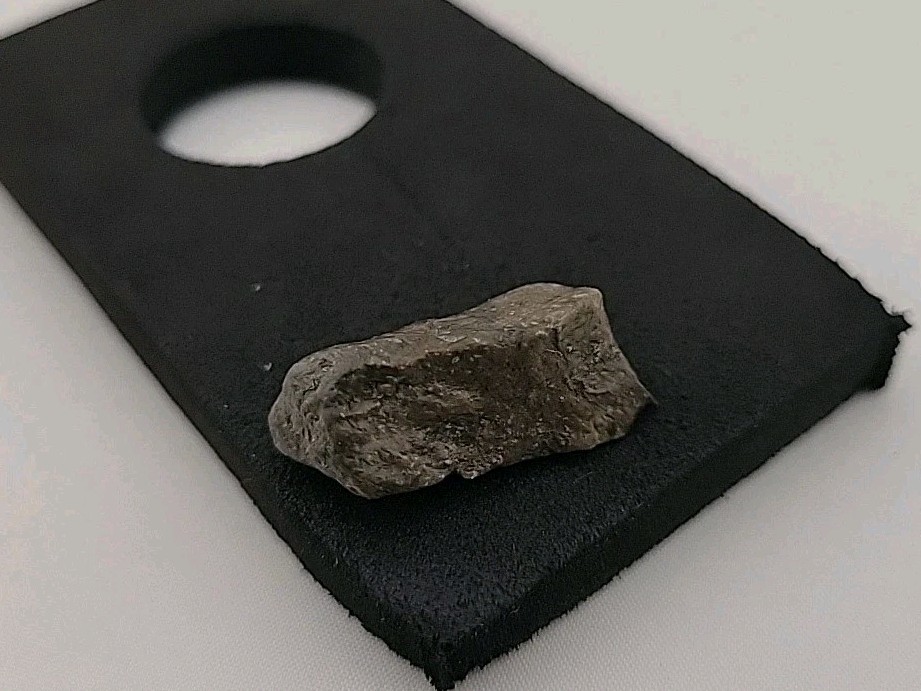 Fossil Dinosaur Permineralized Tooth T-rex 🦖