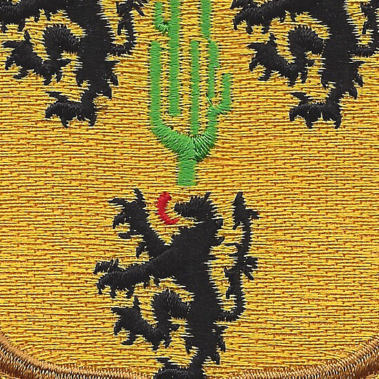 109th Cavalry Battalion Patch