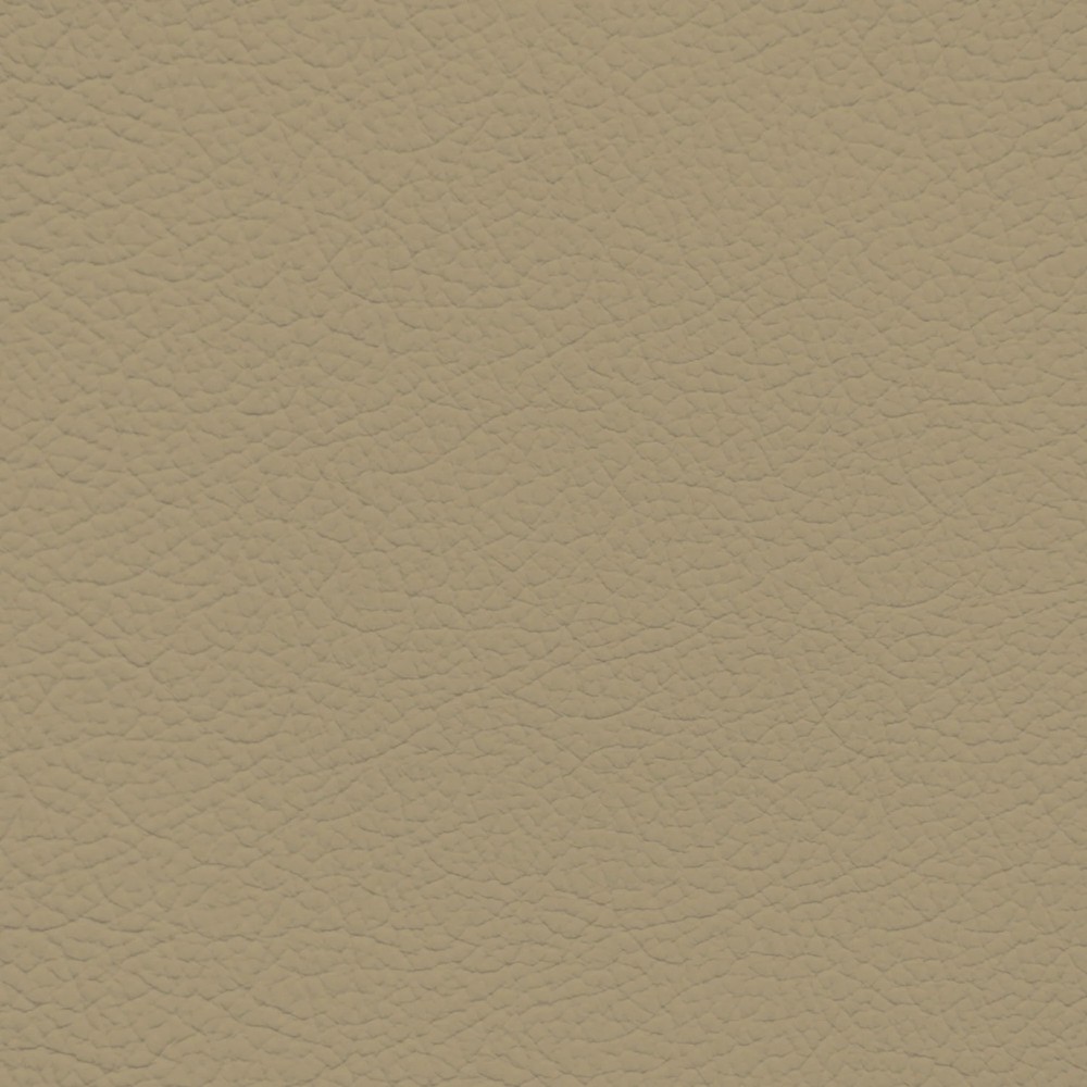 GM Medium Light Neutral Leather Dye