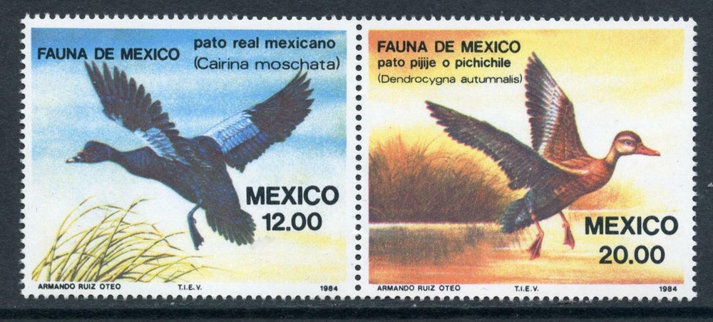 Mexico: 1984 Ducks Setenant Pair (1349a) MNH