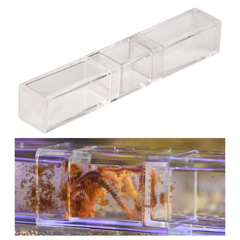 Leeches Catcher Planaria Trap Flatworm Trap