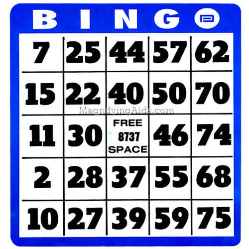 Low Vision Large Print Bingo Cards (New)