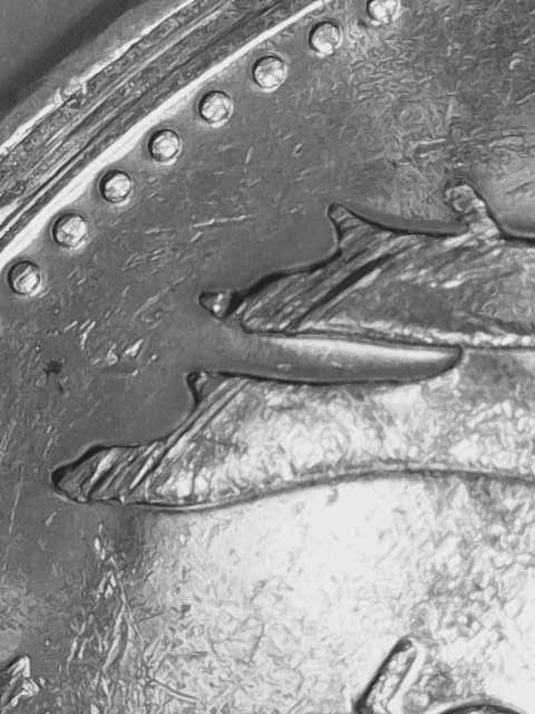 2006P Canada Quarter Dollar With Errors!