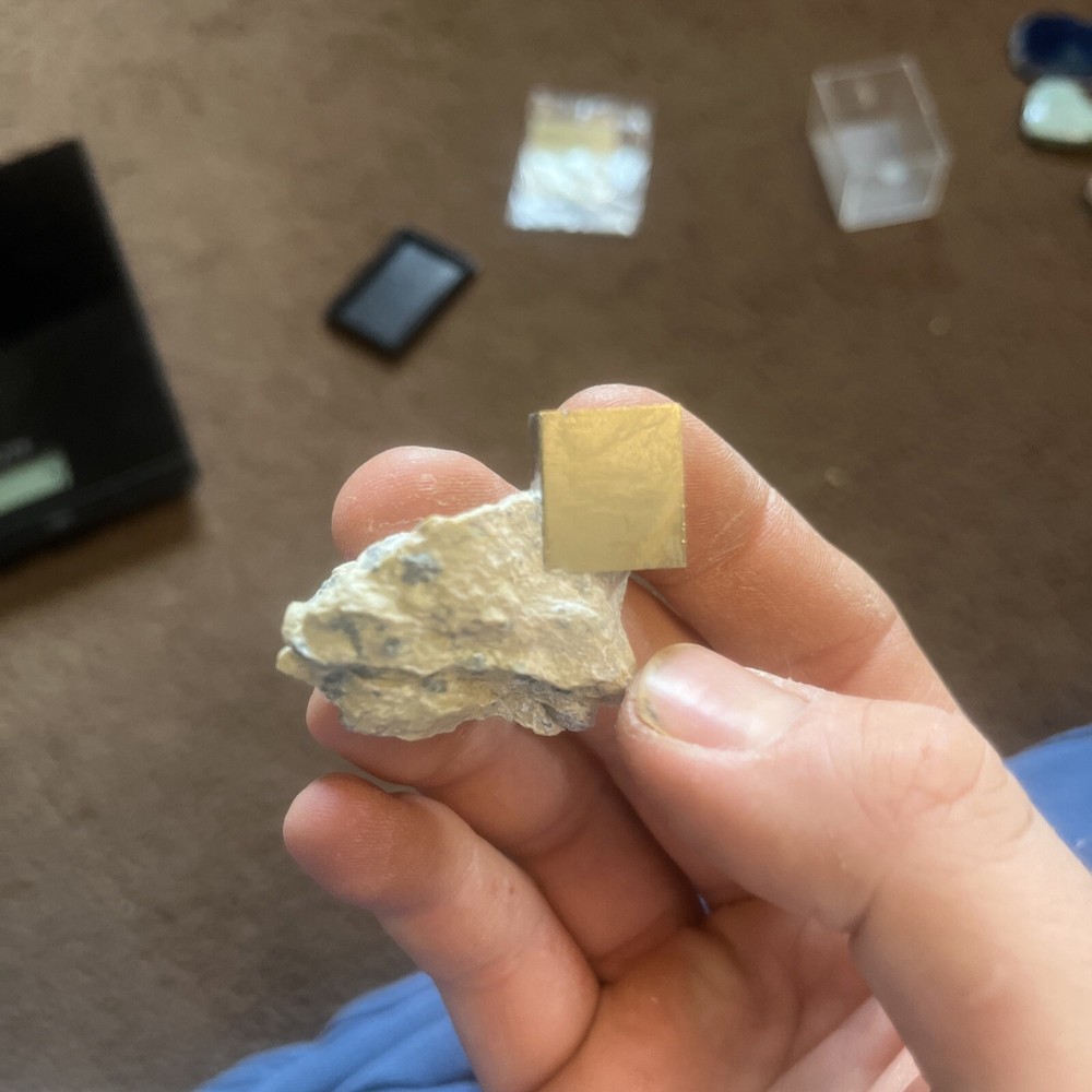 Pyrite On Limestone