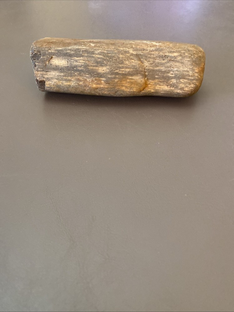 Petrified Wood