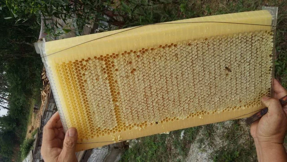 7 x Auto Beehive Beekeeping Frames Beehive Frame BPA free Plastic Beehive Frames