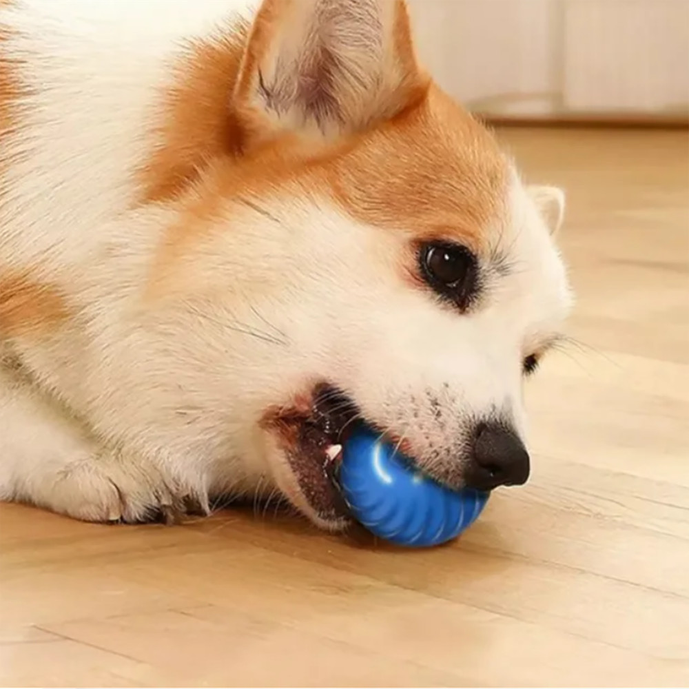 Gravity Jump Ball Toy Replacement Shell TPR Diameter 52mm Dog Plaything